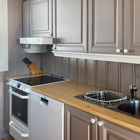 Tatil Evi 4 Bedroom Awesome In Engerdal *