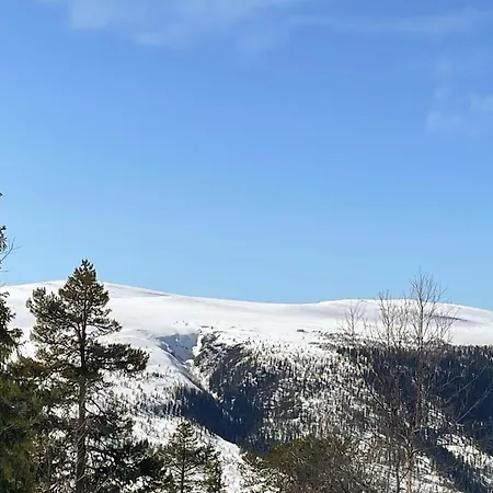 Holiday home 4 Bedroom Awesome In Engerdal